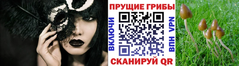 Галлюциногенные грибы мухоморы  Советская Гавань 